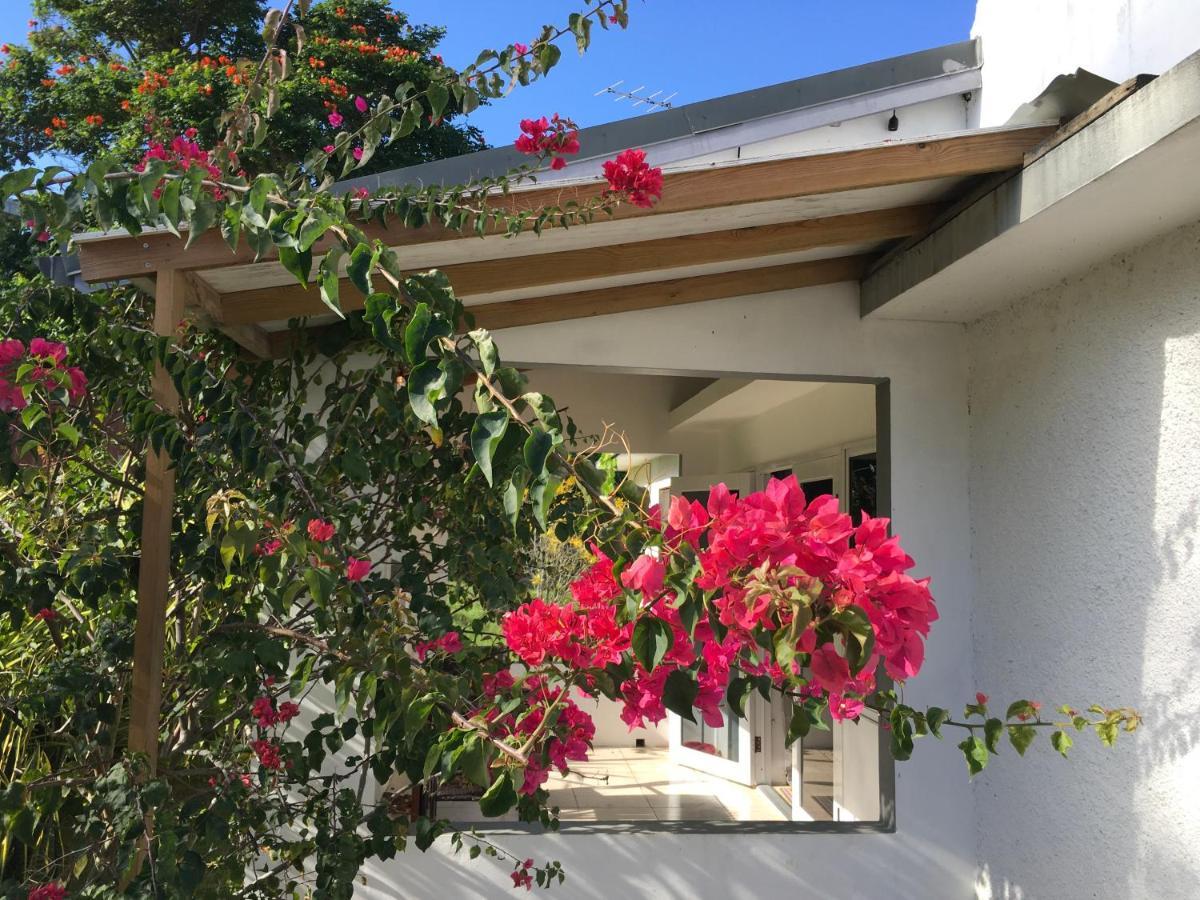 Ancella'S Garden Apartment-Beach-5Min Drive, 1 Hr Montego Bay, 25 Mins Ocho Rios, Continental Breakfast Runaway Bay Luaran gambar