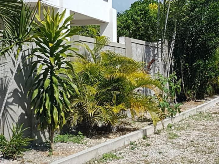 Ancella'S Garden Apartment-Beach-5Min Drive, 1 Hr Montego Bay, 25 Mins Ocho Rios, Continental Breakfast Runaway Bay Luaran gambar
