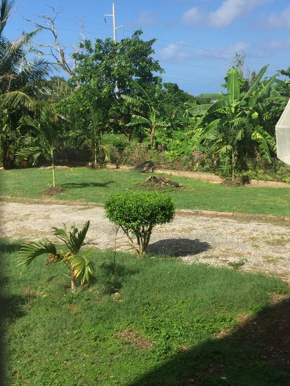 Ancella'S Garden Apartment-Beach-5Min Drive, 1 Hr Montego Bay, 25 Mins Ocho Rios, Continental Breakfast Runaway Bay Luaran gambar